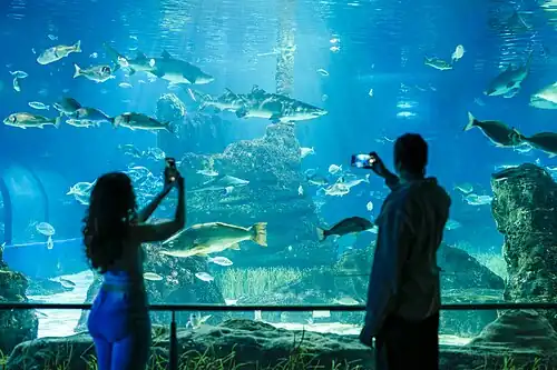 The Oceanarium