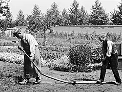 Image 45A frame from the Lumière brothers staged comedy film, L'Arroseur Arrosé (1895) (from History of film)