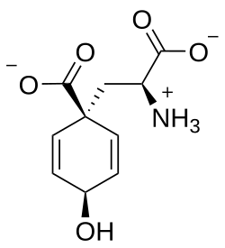 2D representation of the chemical structure of Q27125430.
