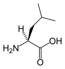 2D representation of the chemical structure of Leucine .