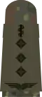 Stabsarzt (hum.)