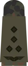 Stabshauptmann (field suit)