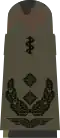 Oberfeldarzt (hum.)