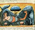 fol.181v-Job.XL.17