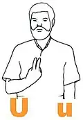 U
