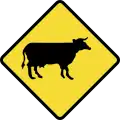 Domestic animals