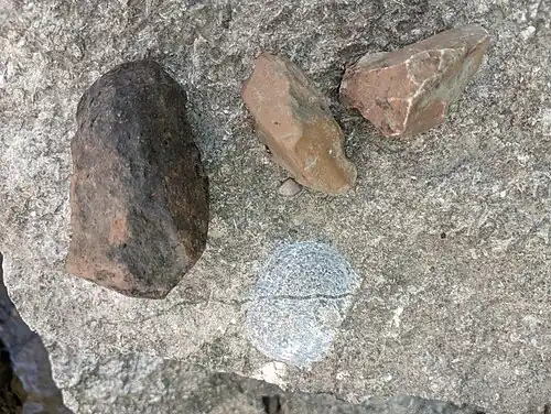 Chert nodules and a fossil imprint in Cement City Limestone. Several of the group's limestone members are described as cherty.