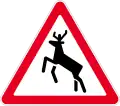 Deer crossing