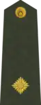 Majors (Latvian Land Forces)[48]
