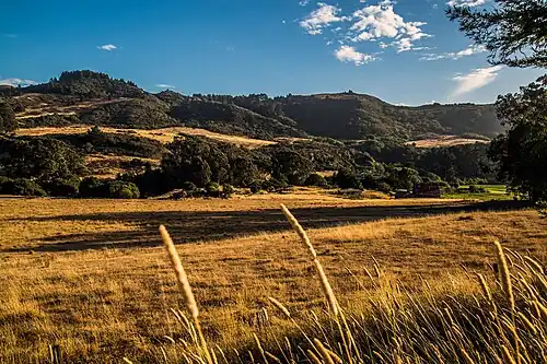 A grassy area between La Honda and San Gregorio (closer to the latter), as seen from Highway 84.