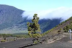 Dissolving clouds from Foehn wind over the Cumbre Nueva in El Paso, La Palma, Canary Island