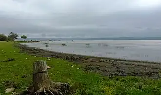 The shore of a body of water.