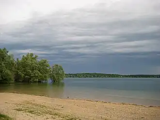 The shore of a body of water surrounded by trees.