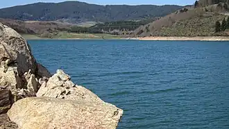 A body of water.