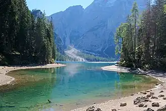 Northern Tip of the lake