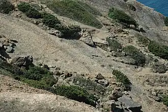 The image shows the main dinosaur fossil trackway at the location in the low angle light. It shows the dipping rock layer lit by the sun rays and the contrasting shaded footprints.