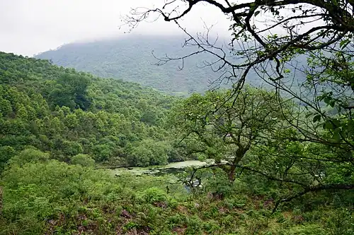 Potrero de Yala Provincial Park.