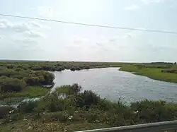 Lake Bisinia
