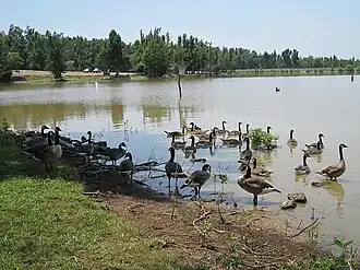 Lake_Frierson_2011