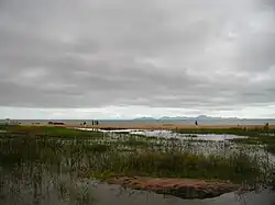 View of marsh