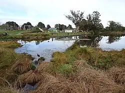 Lake Rotokaeo and Minogue Park playground in 2017