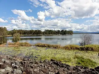 Lake Samsonvale at Joyner, 2011