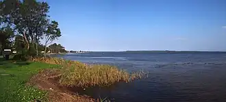 Shore of Tuggerah Lake facing north