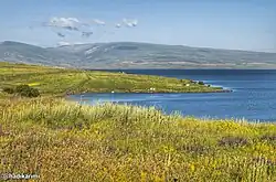 The picture depicts a landscape of a lake, with a green grassy shore land. In the horizon you can see a hill on the other side of the lake