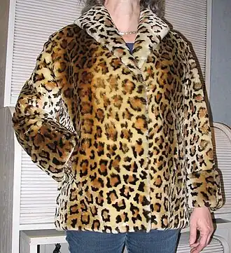 Leopard print jacket