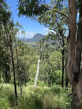 Looking from Spicers Gap Road across Clumber to Mount Greville, 2022