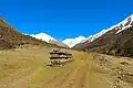 Mani wall in the Langtang Valley, Route to Kyanzing Valley, Nepal.