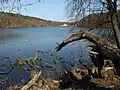 Obersee in Lanke