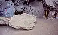 Burial 2 was immediately below this speleothem. Could explain the absence of the upper limb.