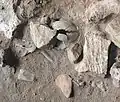 Burial 21 - Large blocks were on top of the skeleton
