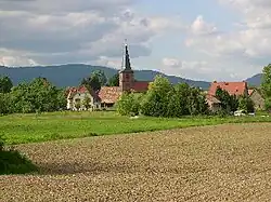 Overview