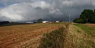 Fields in Kaban, 2008