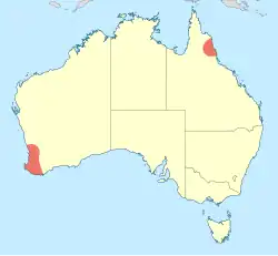 Map of Australia showing the distribution of Lathrocordulia species.