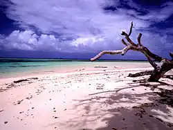 Image 34Beach scenery at Laura, Majuro, Marshall Islands (from Micronesia)