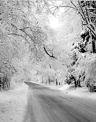 Snow scene