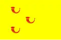 Flag of Leende