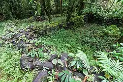 Lelu Ruins
