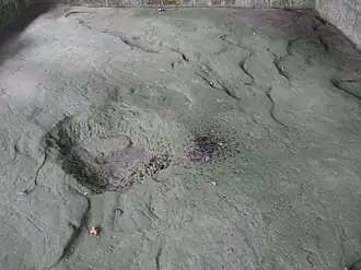 Leo Petroglyph