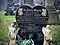 Grave of Lesley Ann Downey