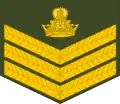 Staff sergeant (Lesotho Army)[36]