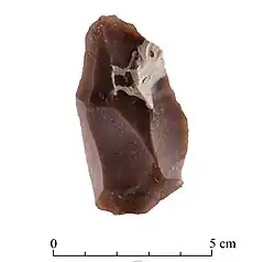 Levallois flake found at Nesher&nbsp;Ramla