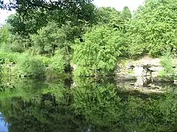 Leverhulme's Terraced Gardens at Rivington