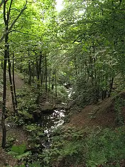 Leverhulme's Terraced Gardens at Rivington
