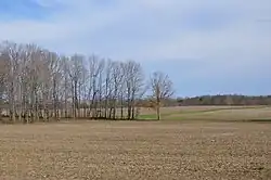 Open fields south of Grove City