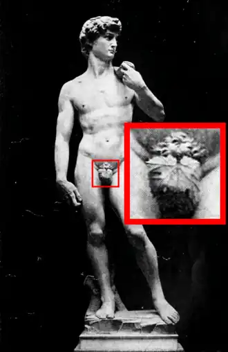 Michelangelo's David