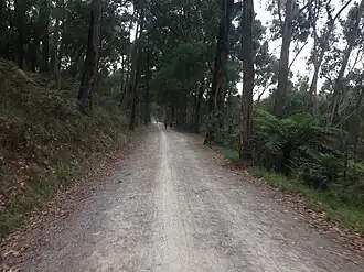 Lilydale to Warburton Rail Trail, Mount Evelyn